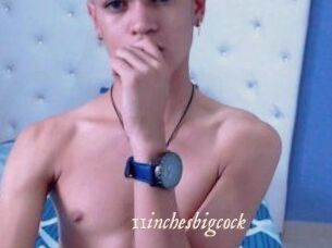 11inchesbigcock