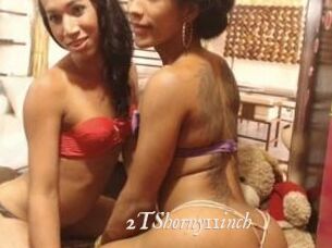 2TShorny11inch