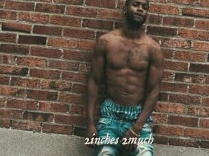 2inches_2much