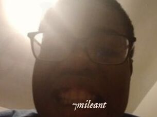 7mileant