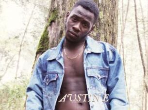 AUSTIN_E