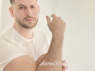 AaronSchulz