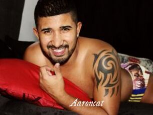 Aaroncat