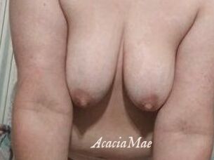 AcaciaMae