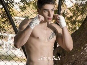 AdamBull