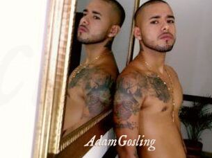 AdamGosling