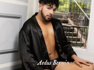 Aedus_Berwin