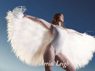 Aerial_Leigh