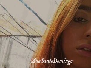 AnaSantoDomingo