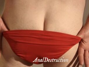 Anal_Destruction