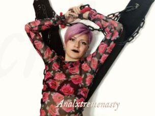 Analxtremenasty