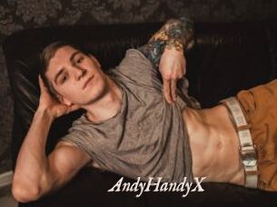 AndyHandyX