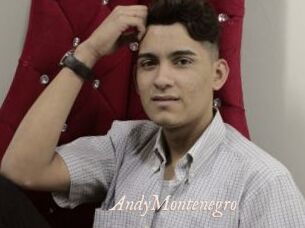 AndyMontenegro