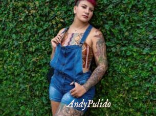 AndyPulido