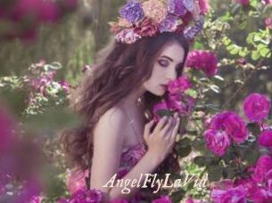 AngelFlyLaVid