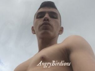 AngryBirdions