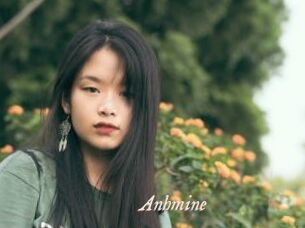Anhmine