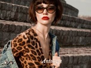 Antoneya
