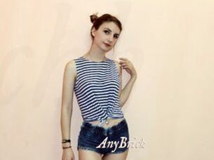 AnyBrick