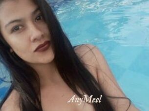 AnyMeel