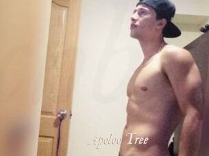 Apoloo_Tree