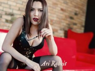 Ari_Rabbit