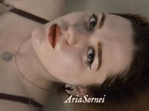 AriaSornei