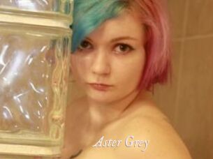 Aster_Grey