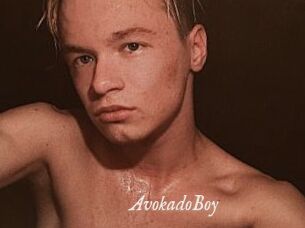 AvokadoBoy