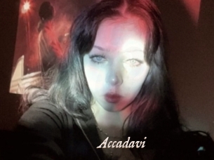 Accadavi