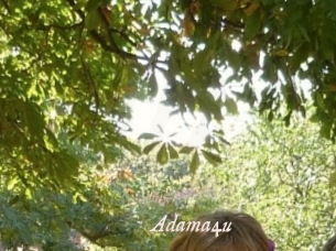 Adama4u