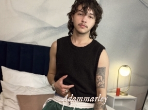 adammarley Chobix 