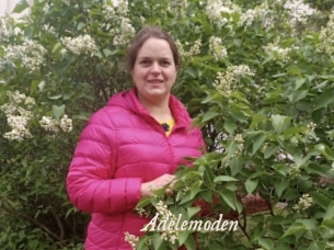 Adelemoden