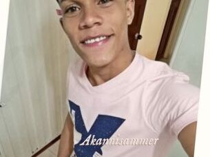 Akannisammer