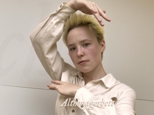 Althenagorbett