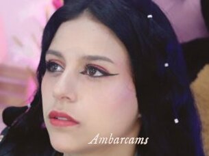 Ambarcams