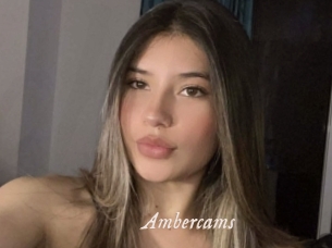 Ambercams