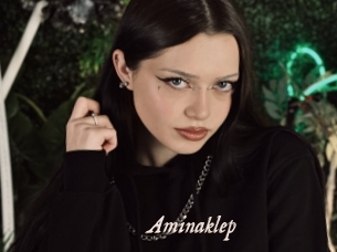 Aminaklep