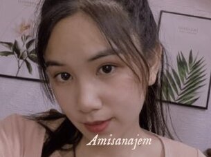 Amisanajem