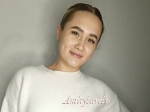 Amitybarris