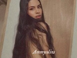 Ammycolins