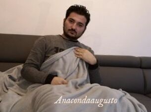 Anacondaaugusto