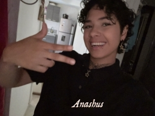 Anashus