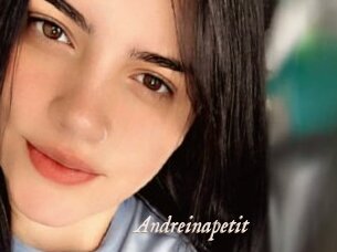 Andreinapetit