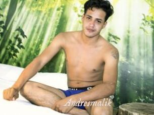 Andresmalik
