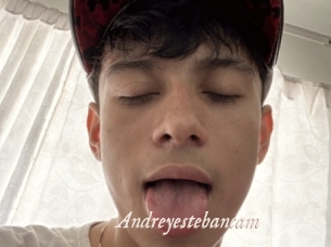 Andreyestebancam