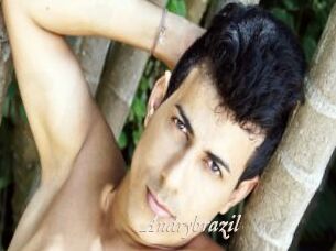 Andrybrazil