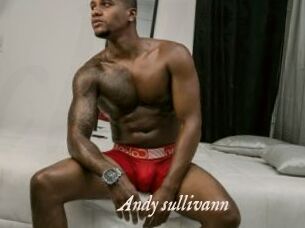 Andy_sullivann