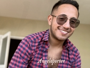 Angeloporter