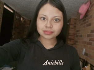 Aniehills